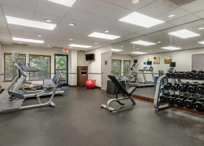 Comfort Inn & Suites Dahlonega University Area