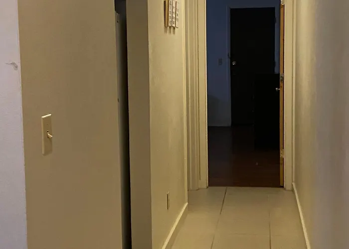 Spacious Updated 1 Bedroom Apartment