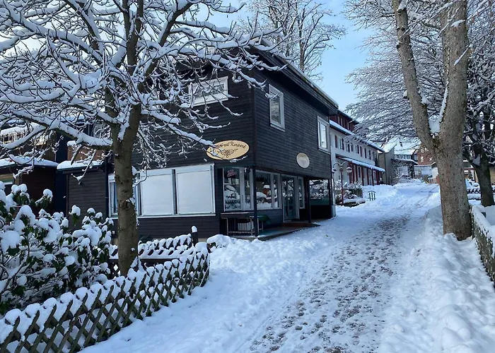 Pavillon Am Kurpark - Top bewertet von Familien! Zentral, modern, ruhig - mit Balkon, Schlitten, Grill, Parkplatz, Wallbox und inklusive Wäschepaket