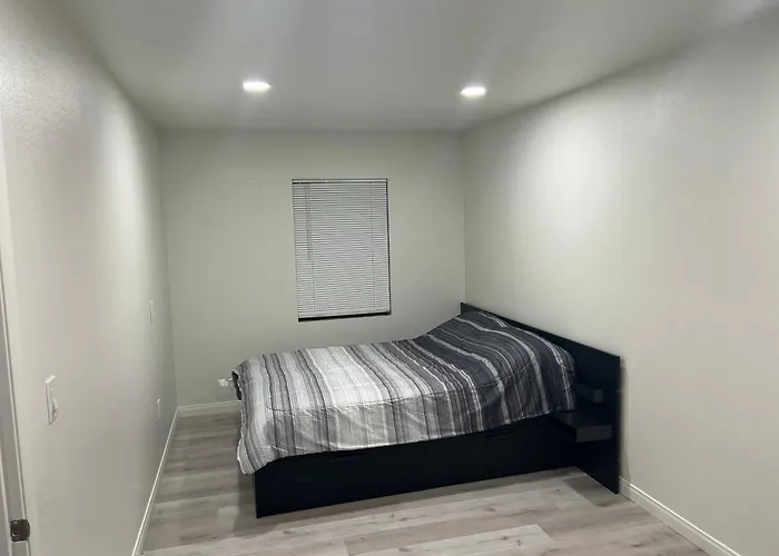 Modern And Charming 1 Bed First Floor Apartment