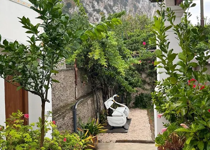 Il Cigno B&B