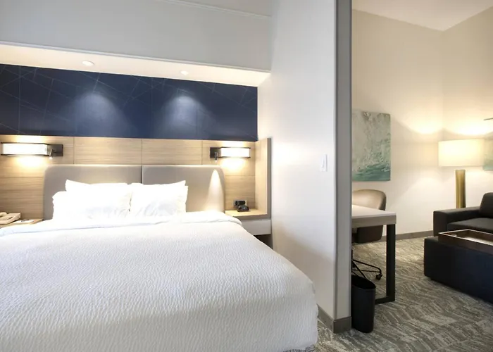 Springhill Suites By Marriott Savannah I-95 South