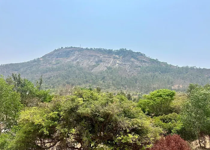 Summer House Nandi Foothills