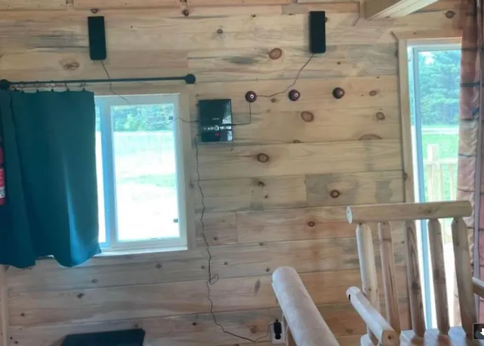 Black Bear Cabin