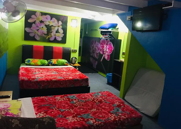 Lily Haven Hotel C-1