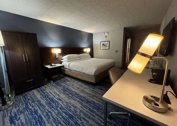 Skyline Hotel Detroit Airport, Surestay Collection By BW