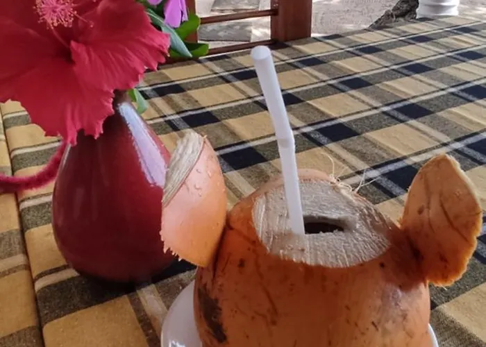 Haus am Meer Wilde Ananas