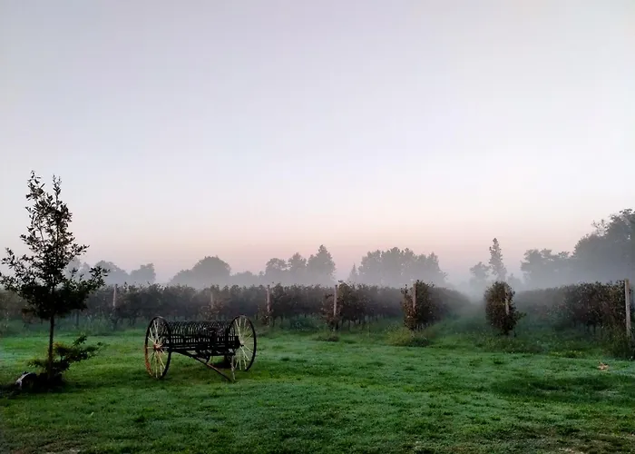 Agriturismo Barone Rosso