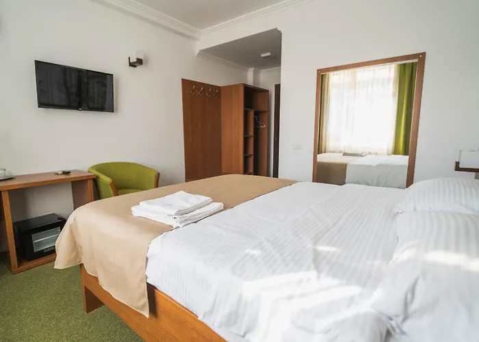 Hotel Comat Deva