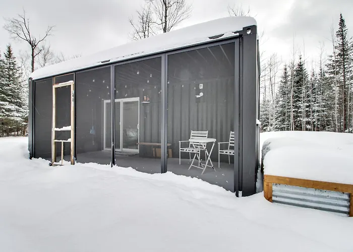 Ice Fishing On South Fork Lake: Nashwauk Studio!