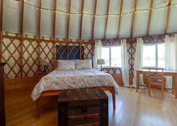 Jumping Juniper Ranch Yurt