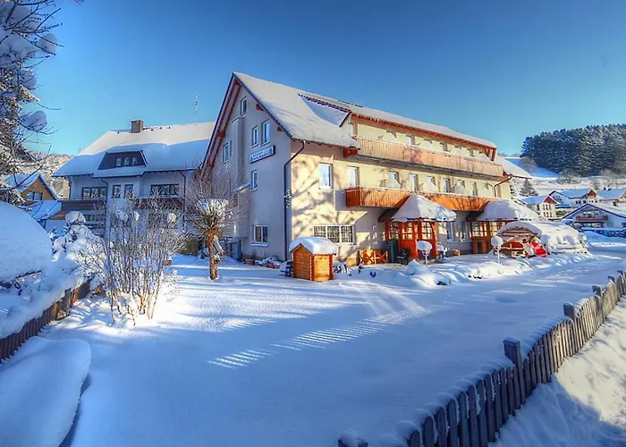 Hotel Restaurant Schwoerer