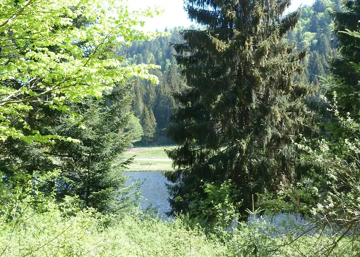 Domaine Des Hauts Viaux