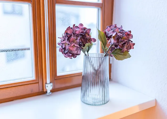 Oh Key Apartments - Unlock Your Stay - Zentral In Fulda-City