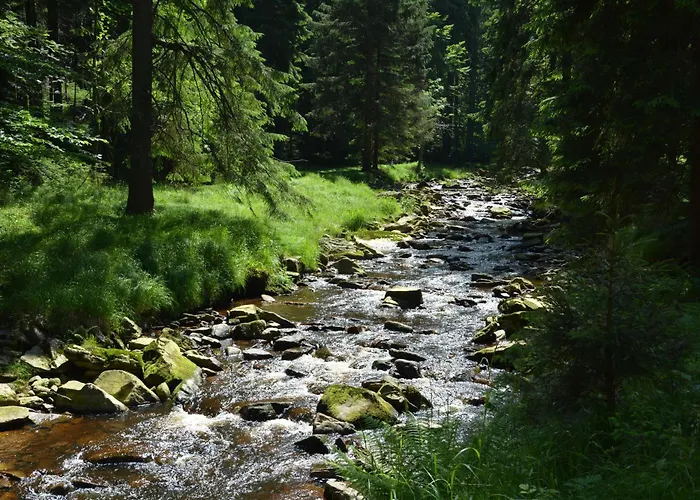 Waldgasthof Bad Einsiedel