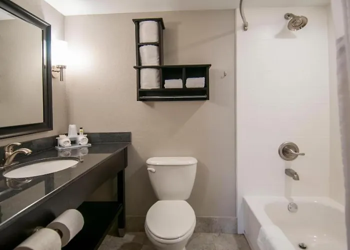 Queen Bed Hotel Suite 207