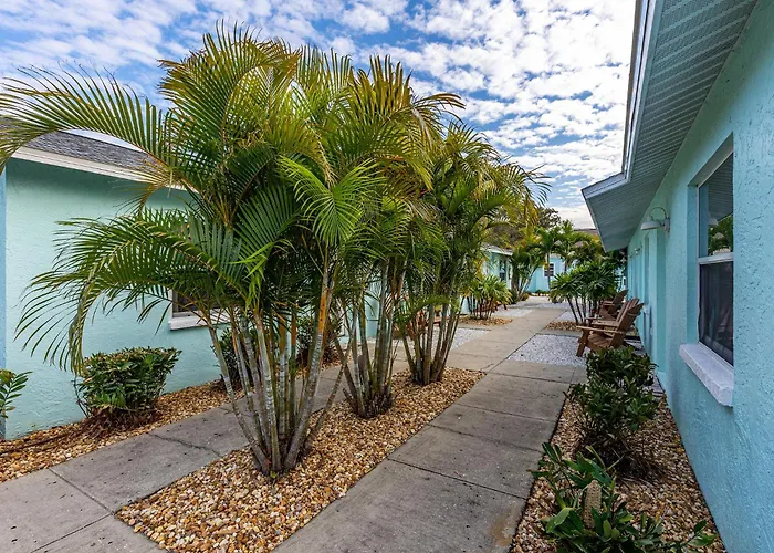 Close To Clearwater Beach And Honeymoon Island!