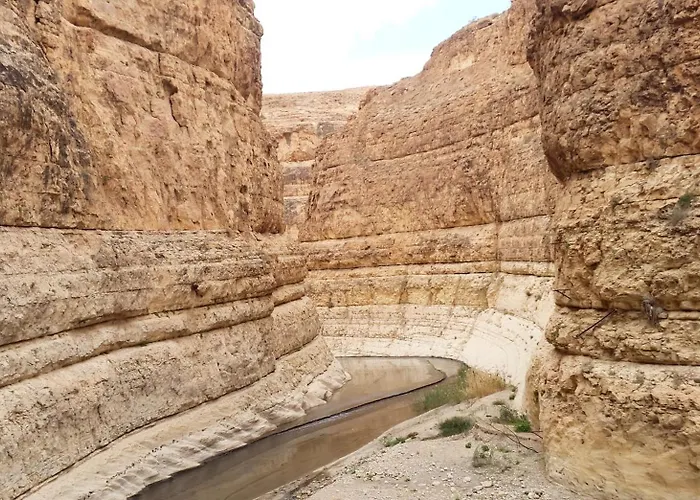 Dar Saida Beya