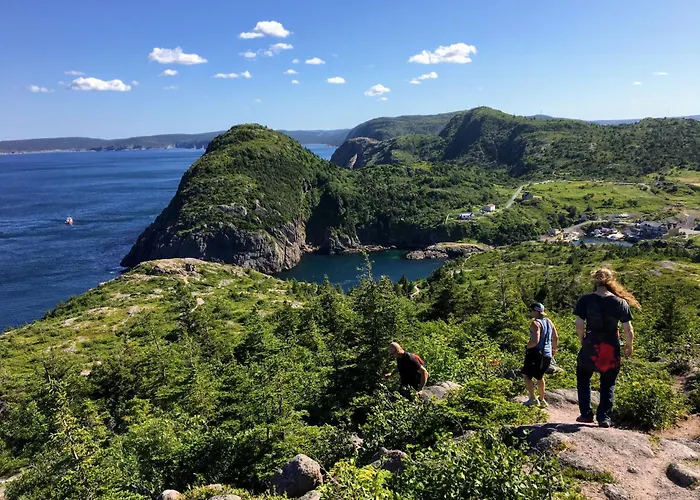 Alt Hotel St. John'S