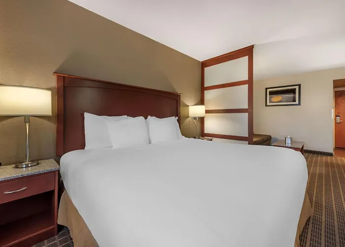 Best Western Plus Peak Vista Inn&Suites