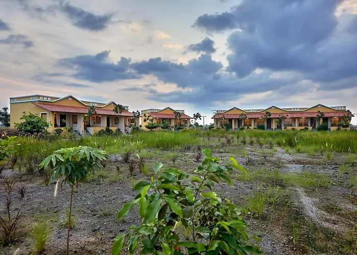 Blackbuck Safari Lodge Velavadar