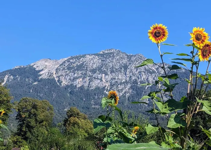 Ferienwohnungen Natur Pur