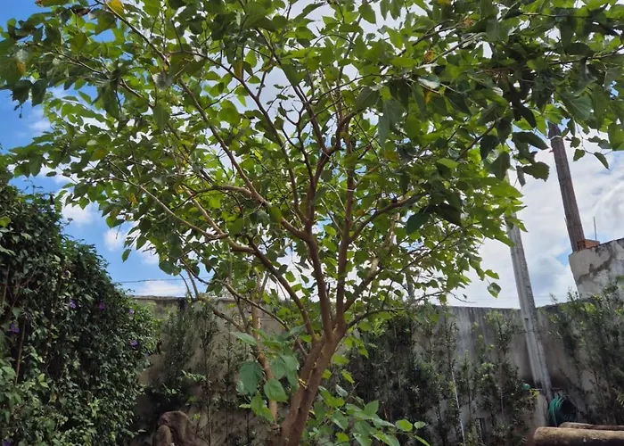 Casa Raízes - Atibaia