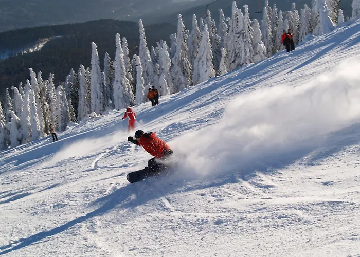 Sonnenhof Resort Bayerischer Wald
