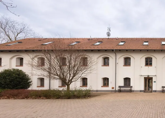 Vadkert Major
