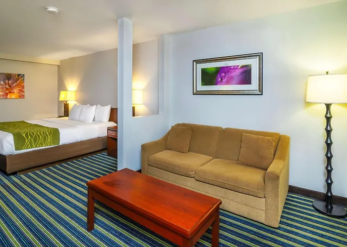 Comfort Inn & Suites