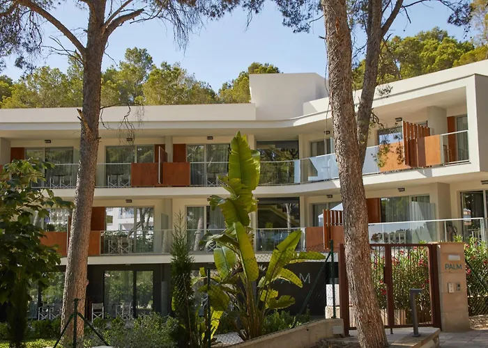 Alua Calvia Mallorca