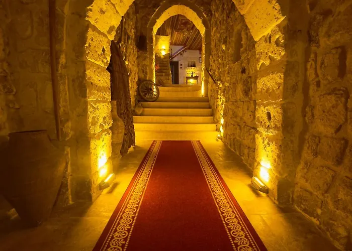 Euphoria Cave House