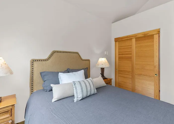 Skiin And Out Beautiful Mtn Lodge - Affordable Too