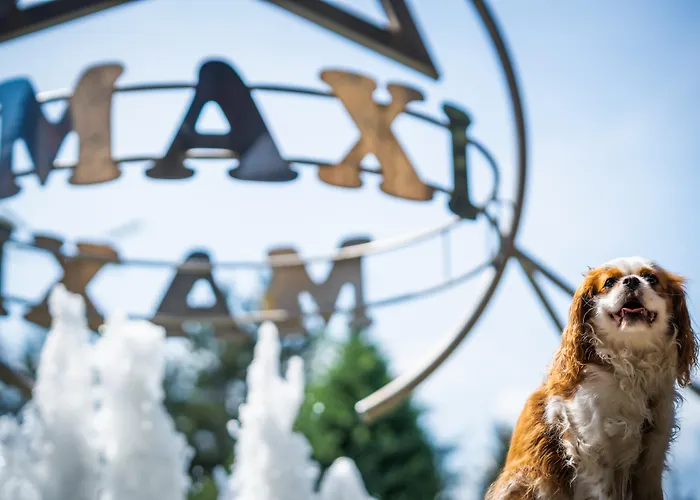 Maxi Park Hotel & Spa