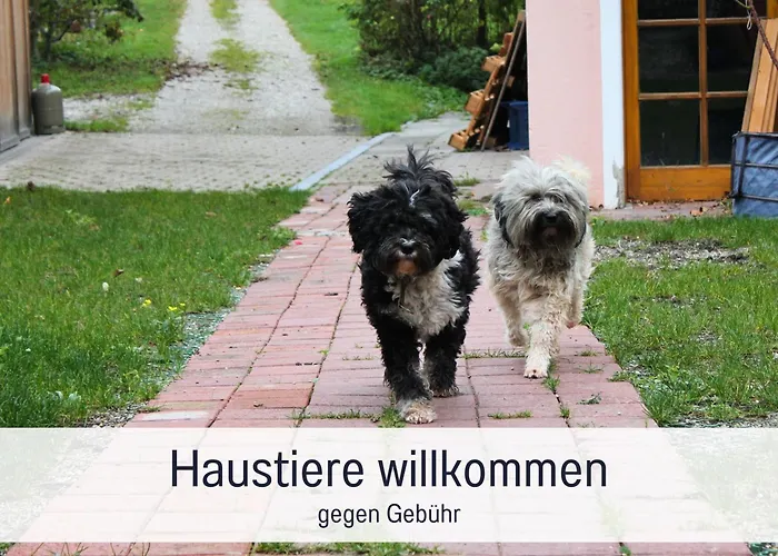 SEEZEIT Ferienwohnungen&Seminarhaus am Ammersee