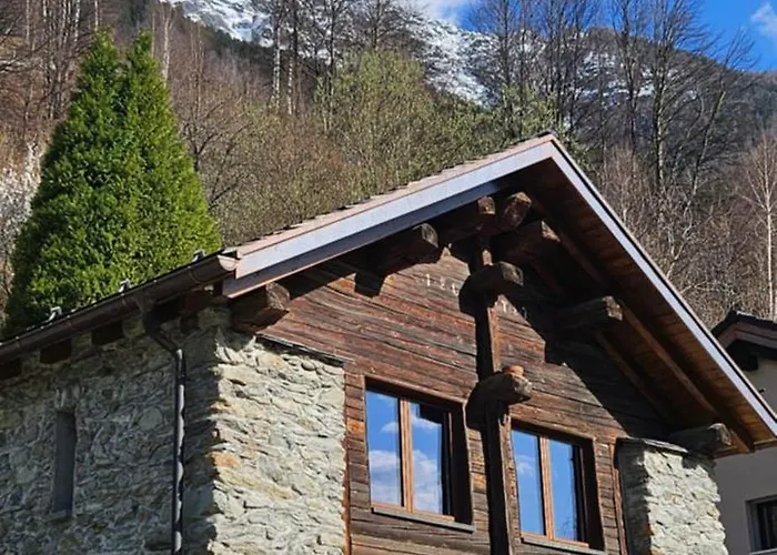Boutique B&B La Quiete Del Bosco - A Plant-Based Stay