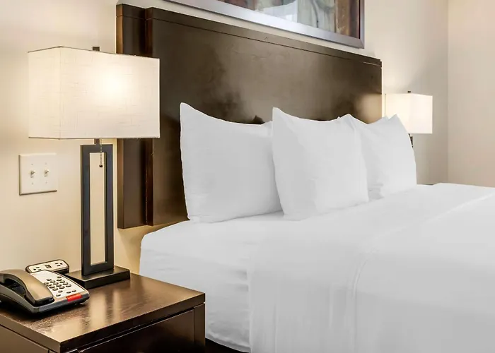 Comfort Hotel Bayer'S Lake