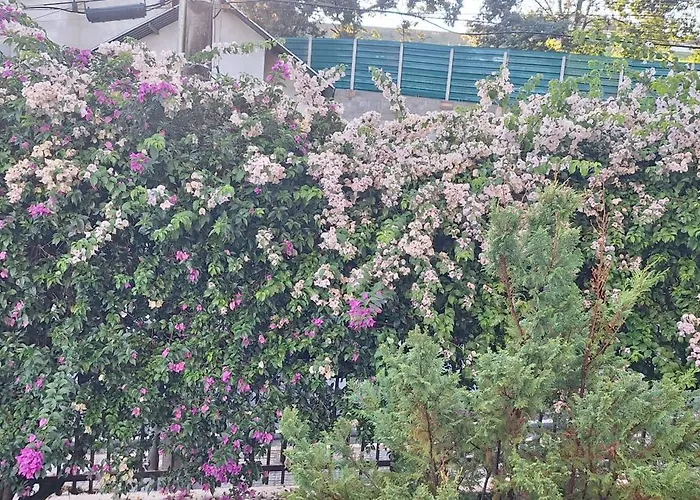 apartamento águas de lindoia itaigara