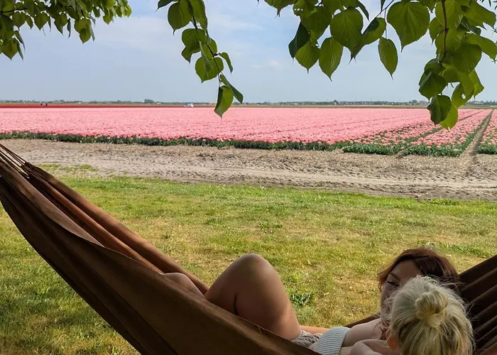 Empty Spot On Grass Camping The Tulip No Beds