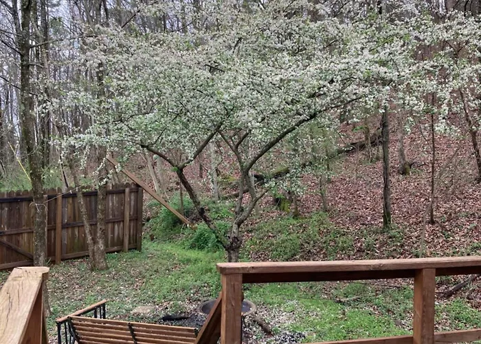 Woodhaven, Darling Romantic Cabin, Atv Trails, Mena, Ar