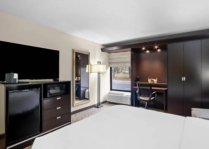 Comfort Inn Cadillac