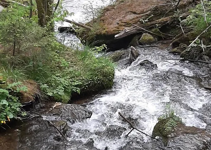 Fruhstuckspension Bischof i d Wiesen