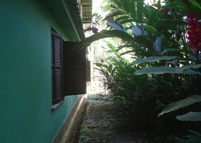 Quarto em casa na Mata Atlântica