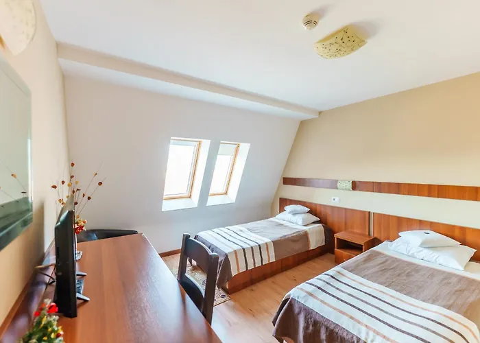Hotel Crisana Arad