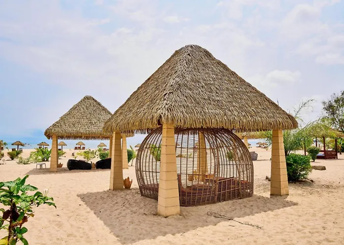 La Baie Des Tortues Luth