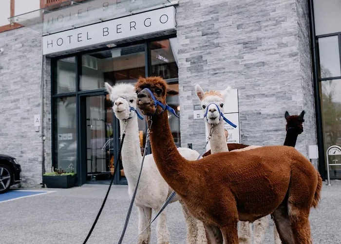 Hotel Bergo Resort&SPA