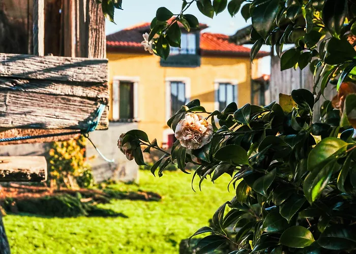 La Casona De Faedo Pension