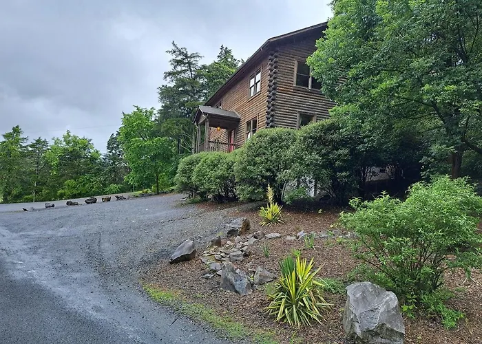 The Lewis #25 - The Cabins At Lexington