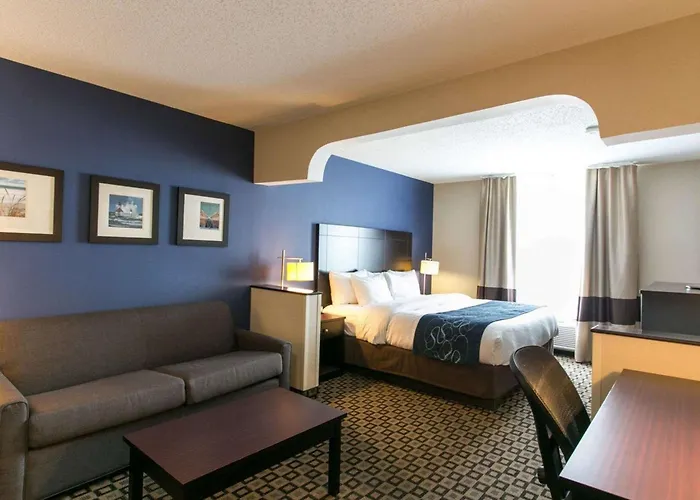 Comfort Suites Benton Harbor - St Joseph