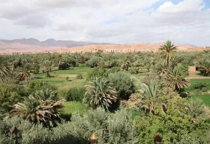 Riad Palmabella